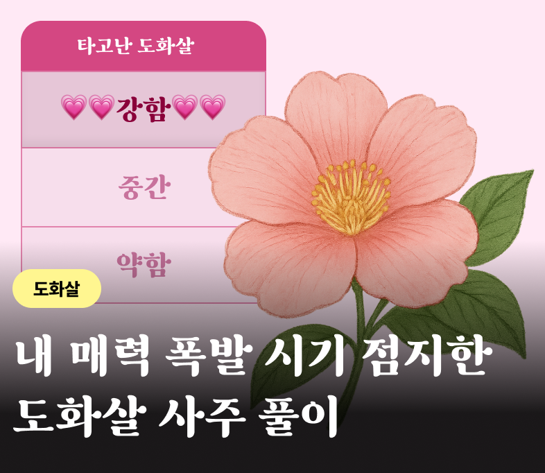 도화살 마음도담 배너