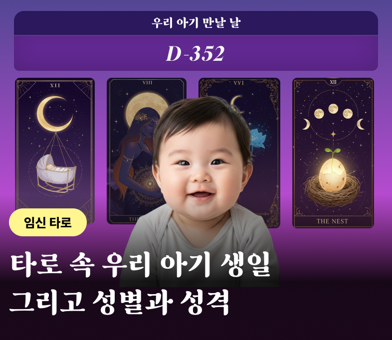 임신타로 루아 배너