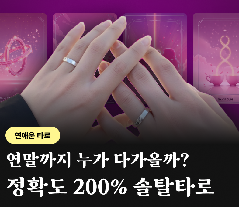 솔로연애타로 나희 배너