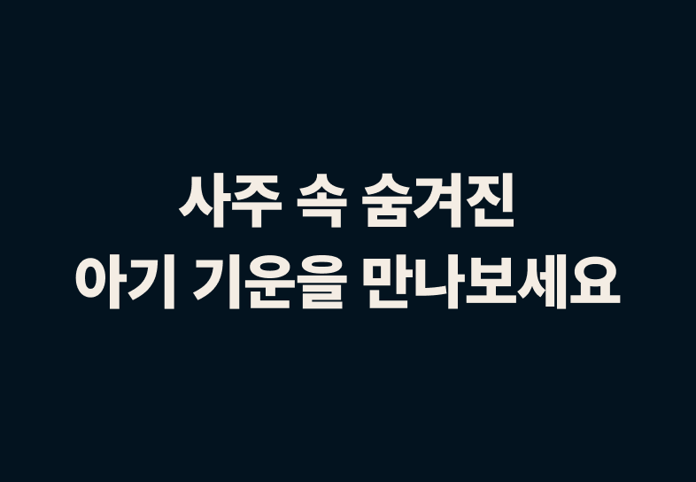 상세 이미지 13
